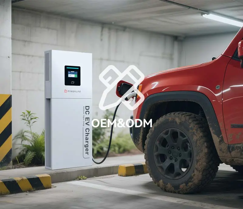 OEM & ODM Customization