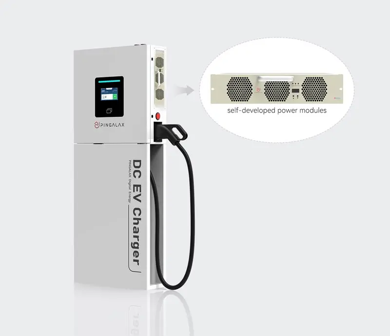 In-house Power Modules